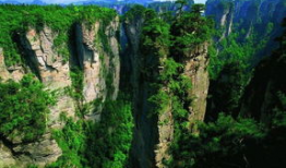 张家界吃瓜爆料新闻,揭秘当地美食背后的故事